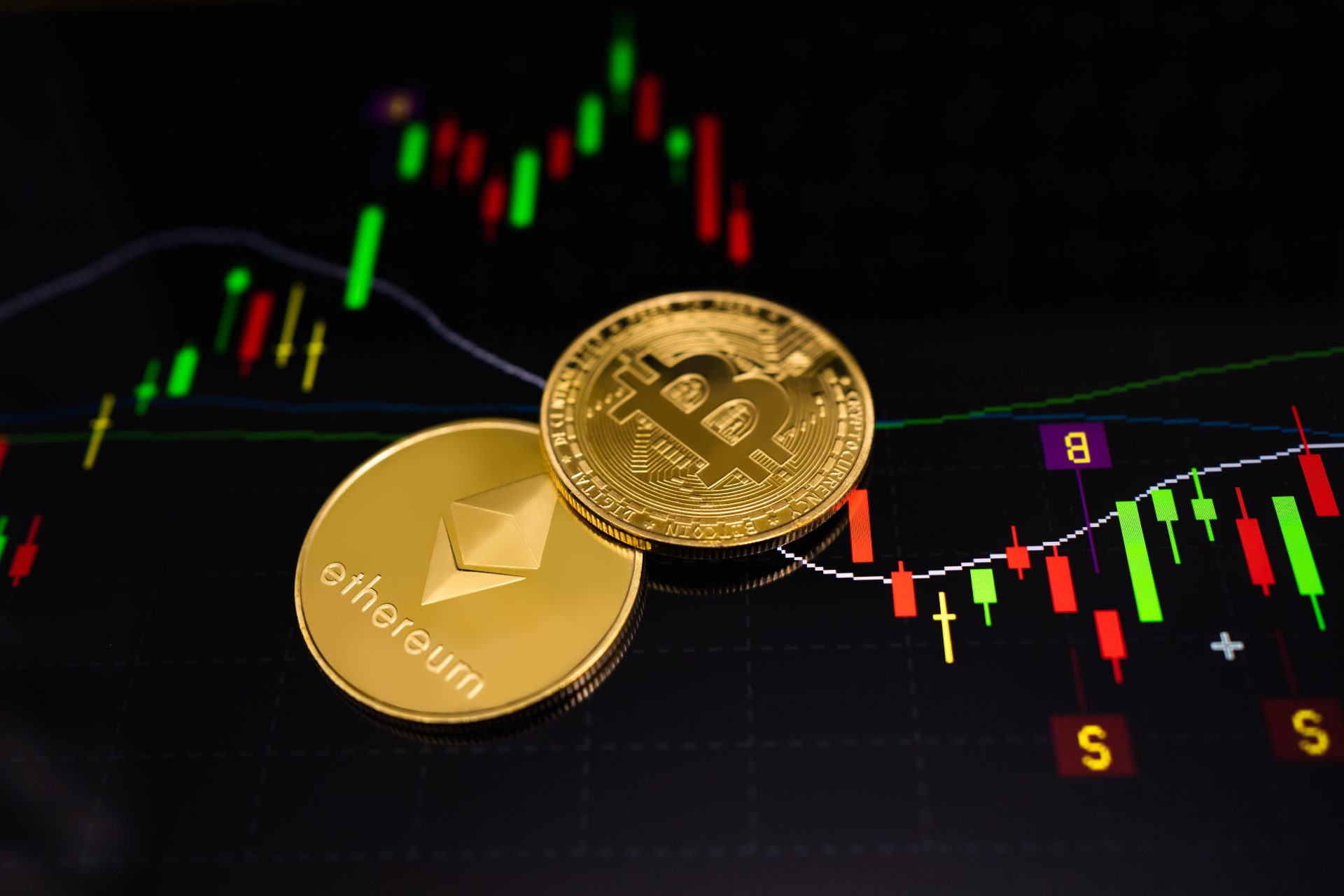 ce criptomonedă pentru investiții pe termen lung Oamenii fac bani din bitcoin?
