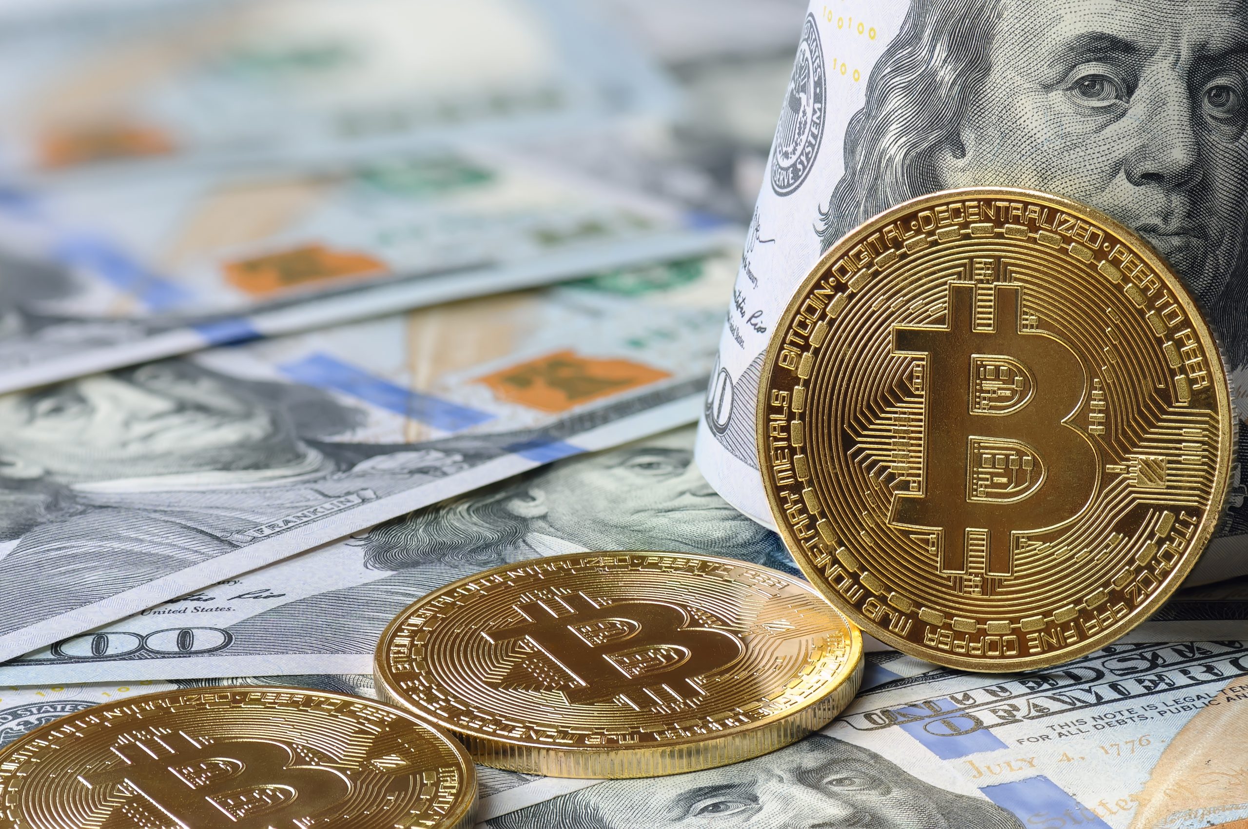 Pikelny bitcoins price bitcoin 3000 dollar